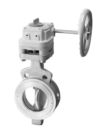 Tomoe USA Valve - 304A / 304Q RPTFE Seated Butterfly Valve 
